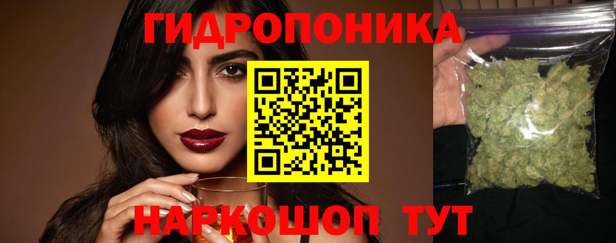 Каннабис индика Нальчик